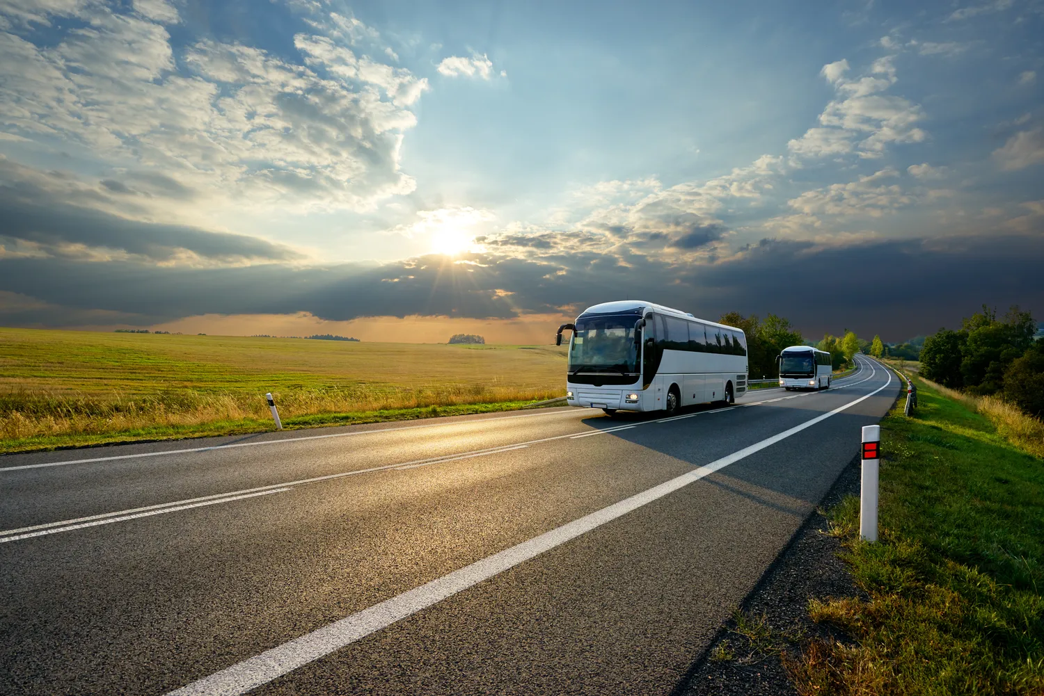 Wynajem autobusów cena Szczecin